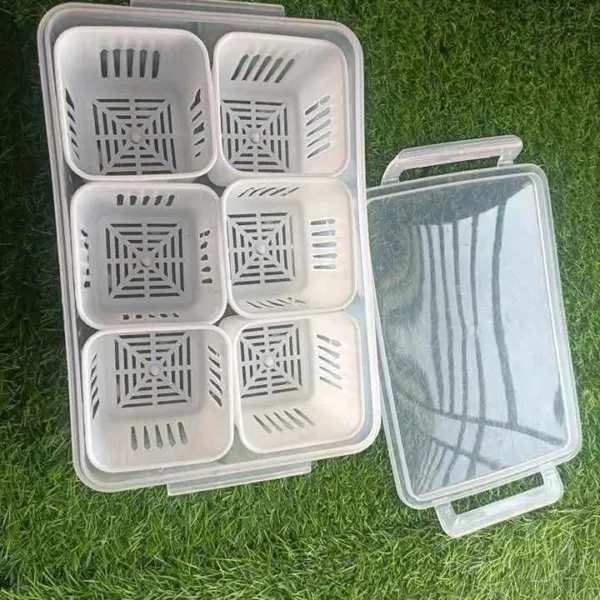 Bandeja organizadora con tapa y 6 compartimentos